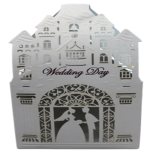 Caja wedding day 12/1 pz